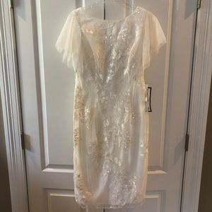 Breathtaking Cream Embroidered Sequin Dress